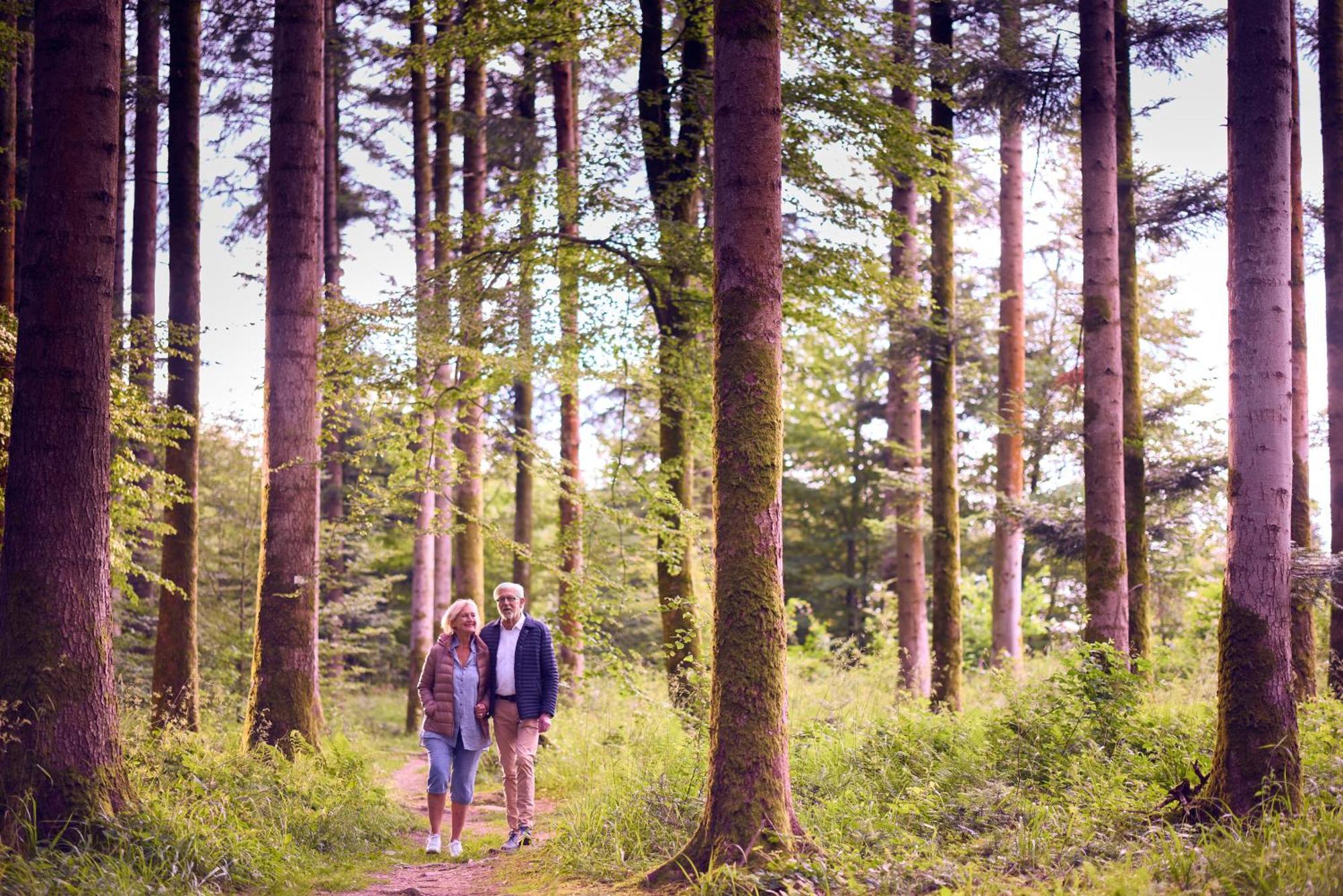 Center Parcs Les Trois Forets 3* Hattigny