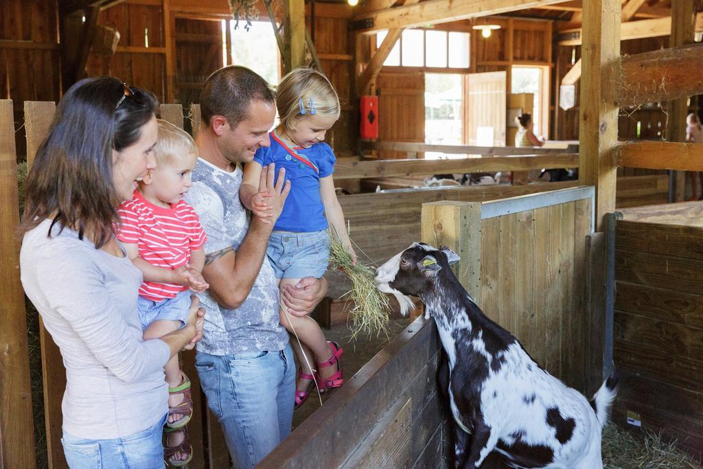 Vakantiepark Center Parcs Les Trois Forets